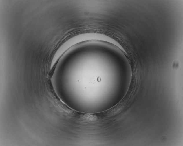 X0000111820421200907231323