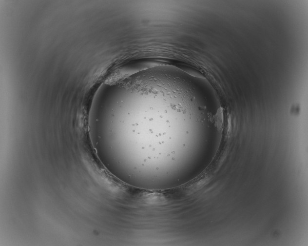 X0000111820424200907231323