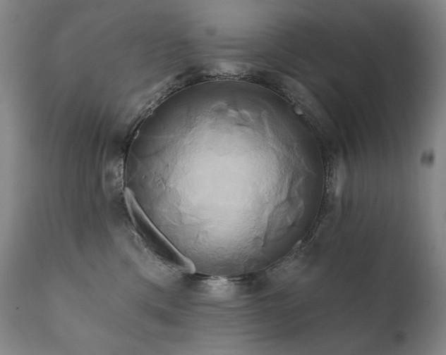 X0000111820425200907231323