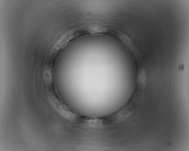 X0000111820426200907231323