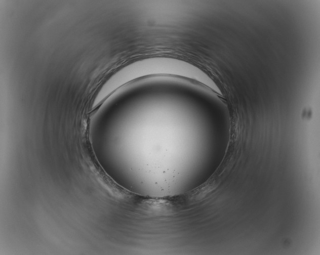 X0000111820427200907231323