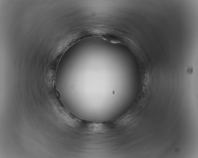 X0000111820428200907231322