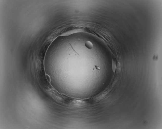 X0000111820429200907231322