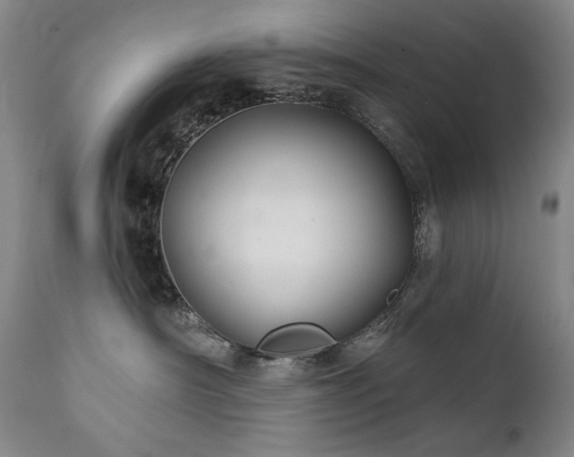 X0000111820430200907231322