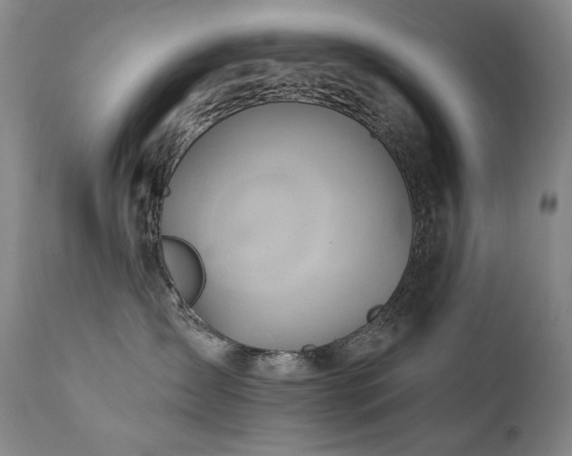 X0000111820431200907231322
