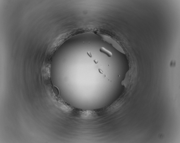 X0000111820432200907231322