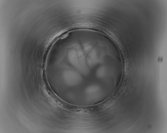 X0000111820434200907231322