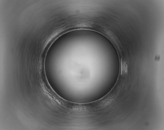 X0000111820435200907231322
