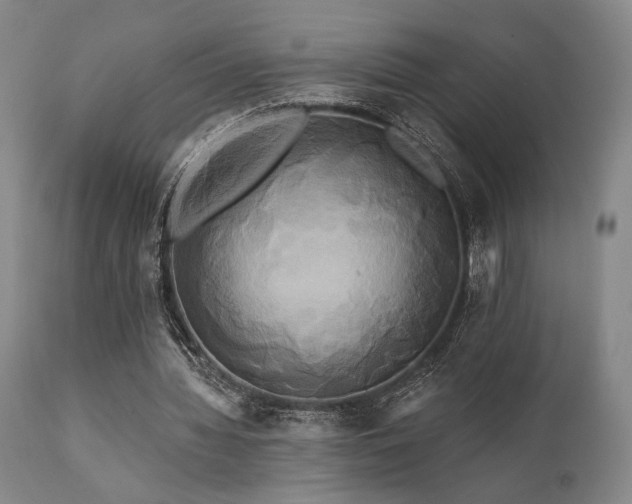 X0000111820436200907231322
