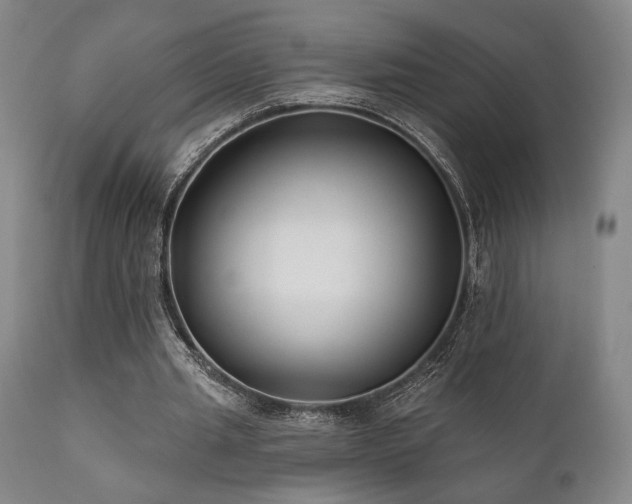 X0000111820437200907231322