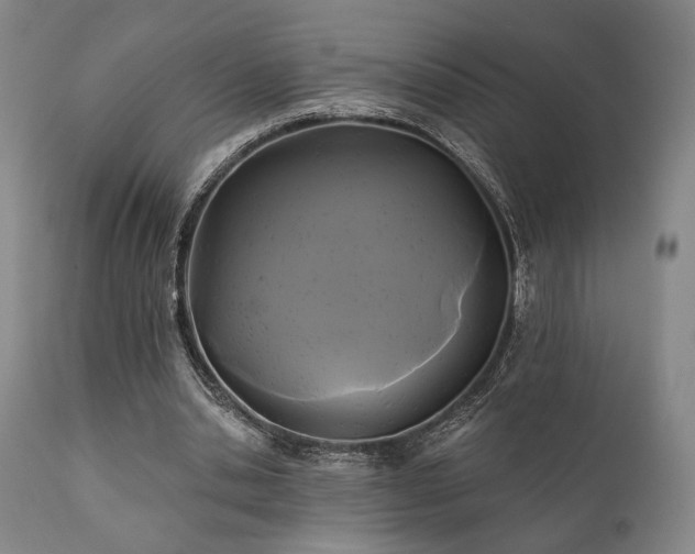 X0000111820438200907231322