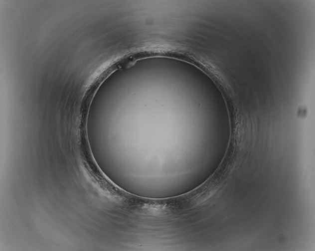 X0000111820440200907231322