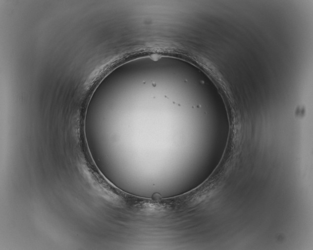 X0000111820442200907231322