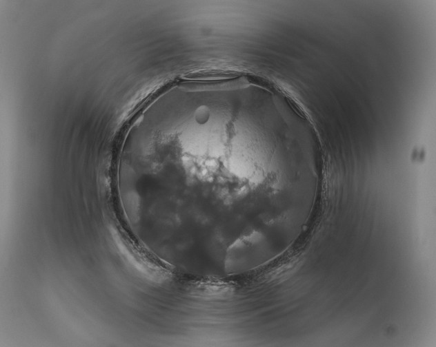 X0000111820443200907231322