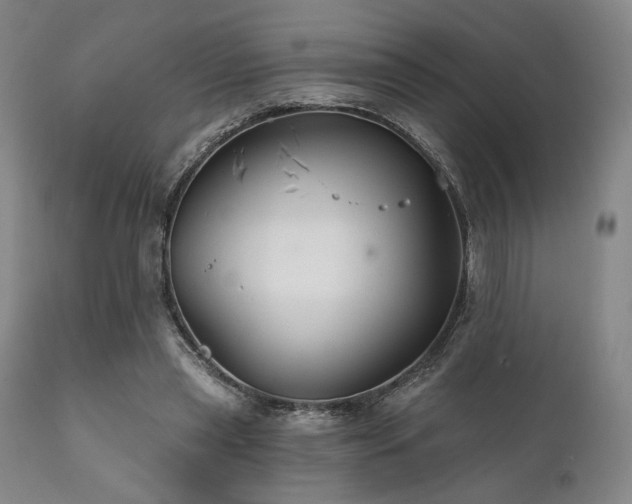 X0000111820445200907231322