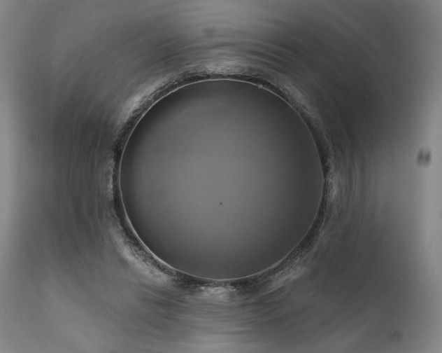 X0000111820446200907231322
