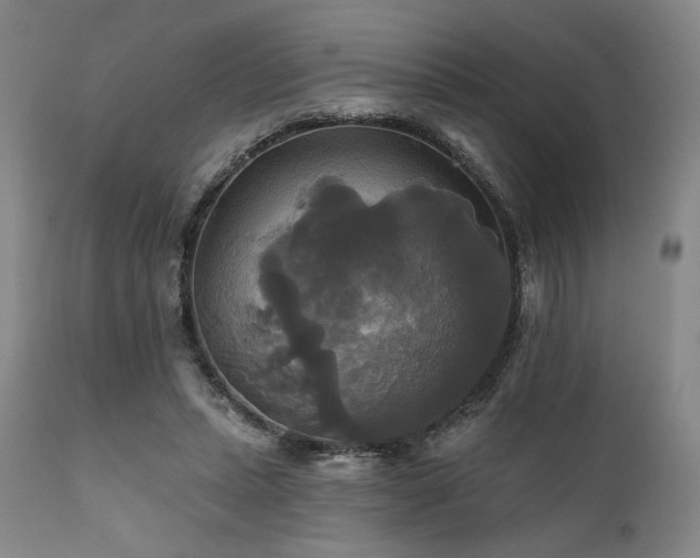 X0000111820447200907231322