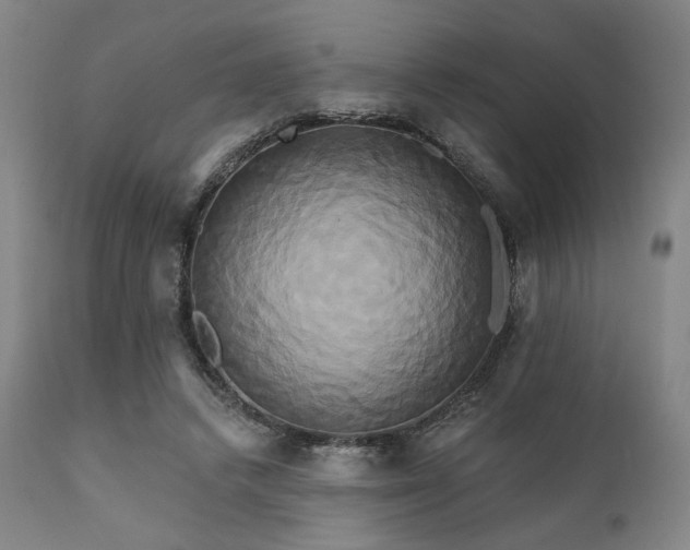 X0000111820448200907231322