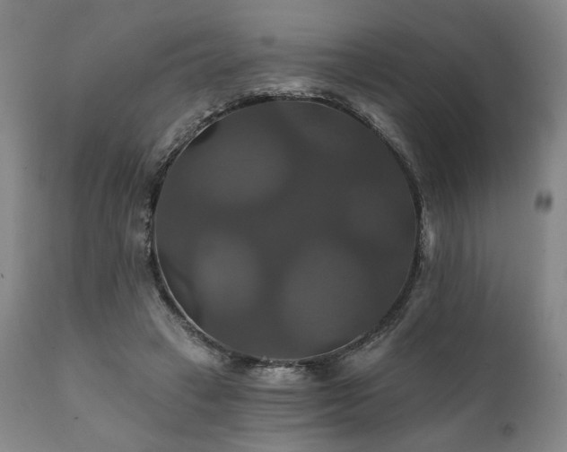 X0000111820449200907231322