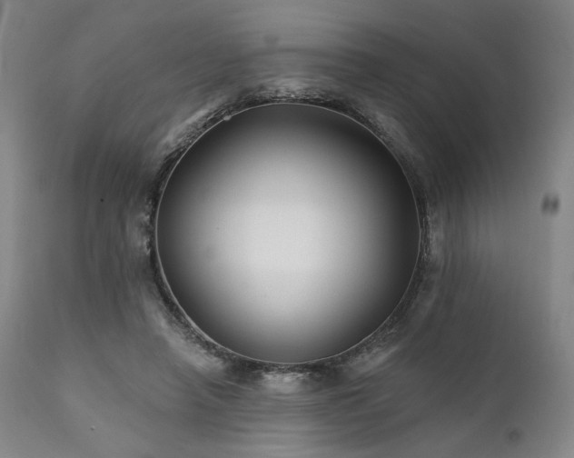X0000111820450200907231322
