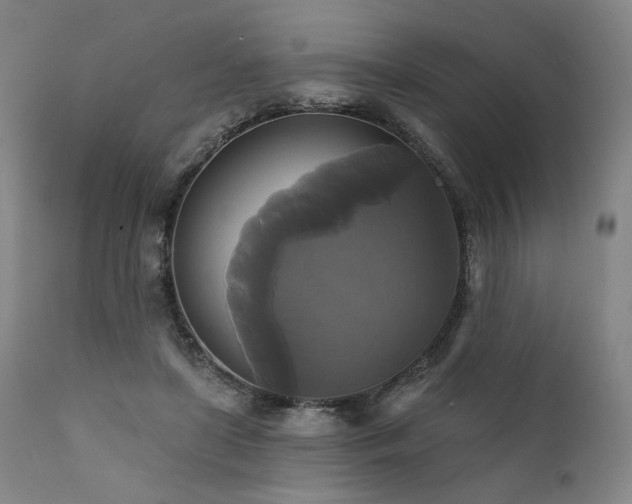 X0000111820451200907231322