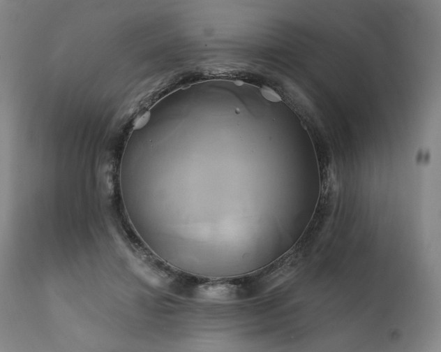X0000111820452200907231322