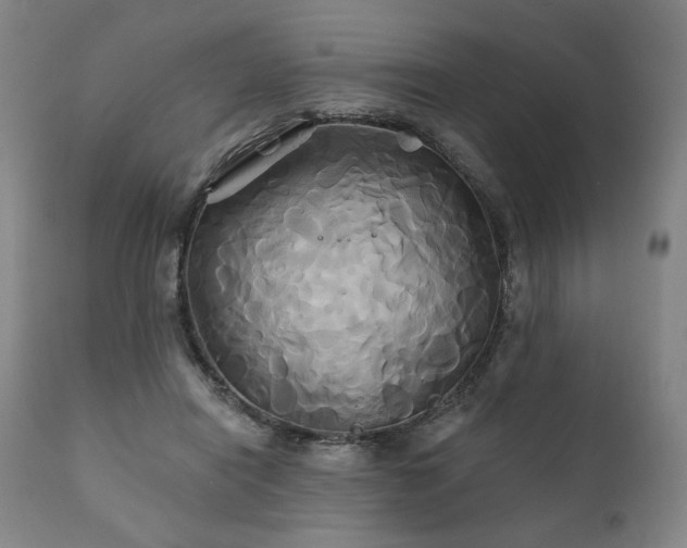 X0000111820454200907231322