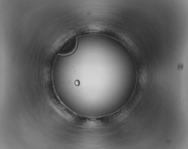 X0000111820455200907231322