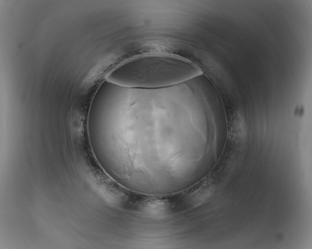 X0000111820456200907231322