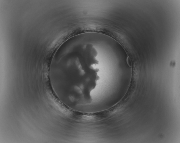 X0000111820457200907231322