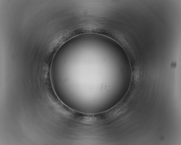 X0000111820458200907231322
