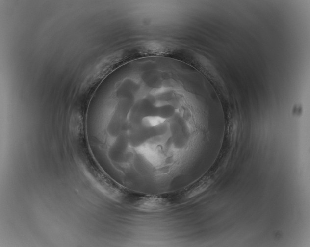 X0000111820459200907231322