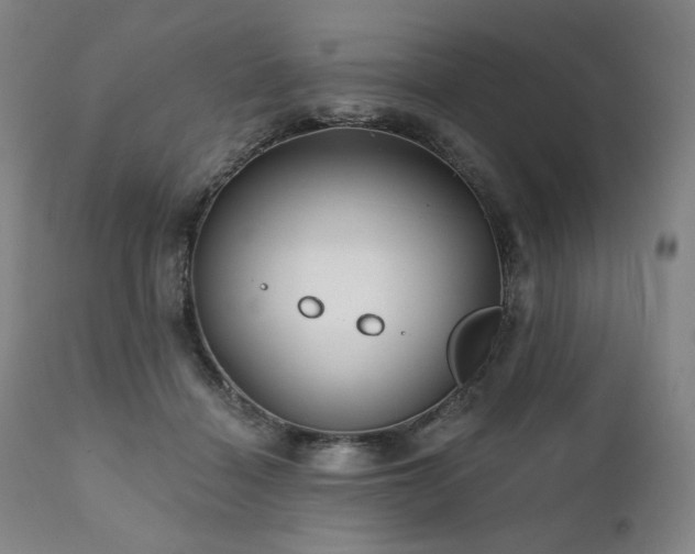 X0000111820460200907231322