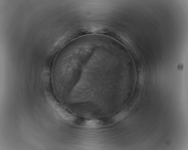 X0000111820461200907231322