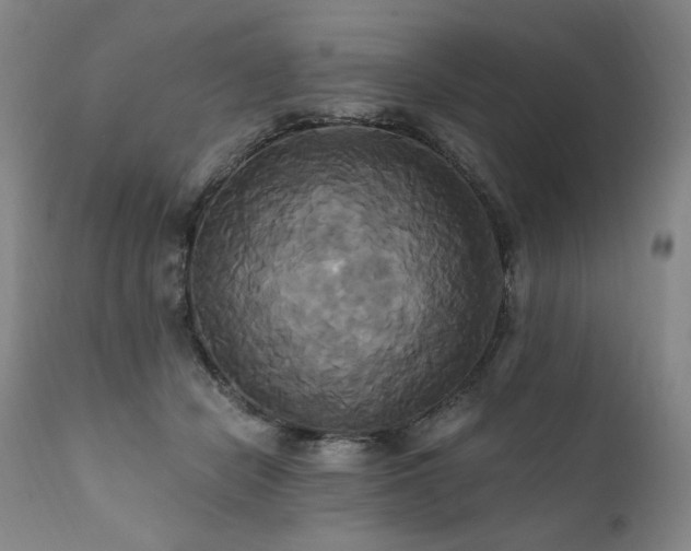 X0000111820462200907231322