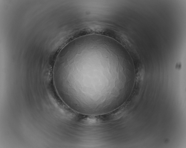 X0000111820464200907231322