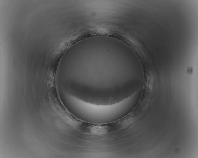 X0000111820465200907231322