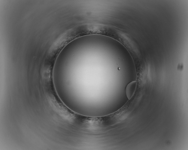 X0000111820466200907231322
