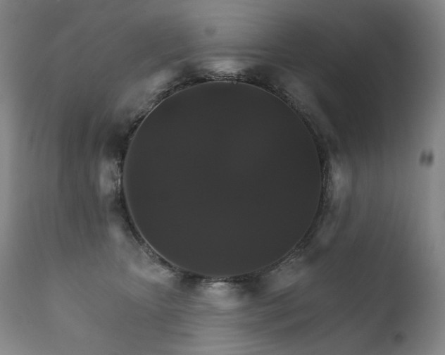 X0000111820467200907231322