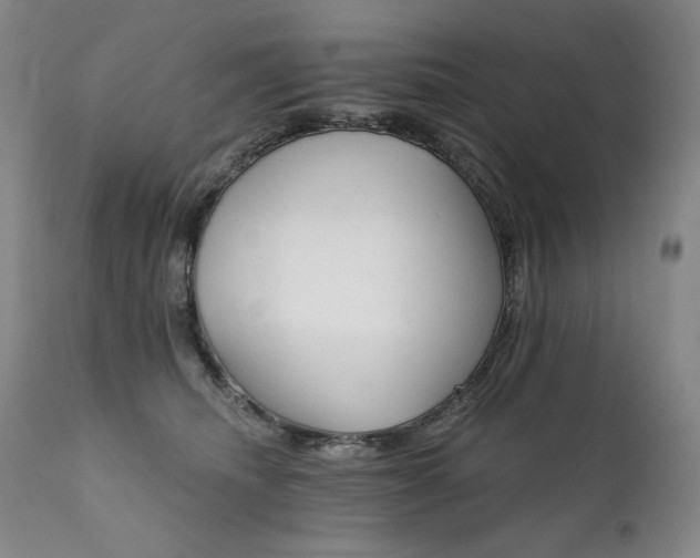 X0000111820468200907231322