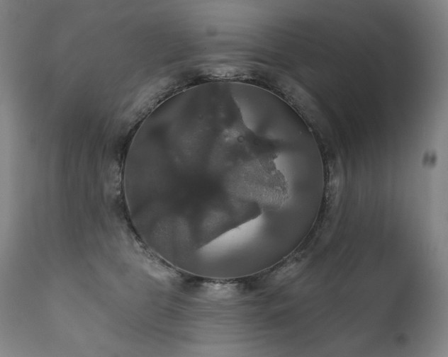 X0000111820469200907231322