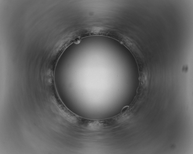 X0000111820470200907231322