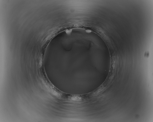 X0000111820471200907231322