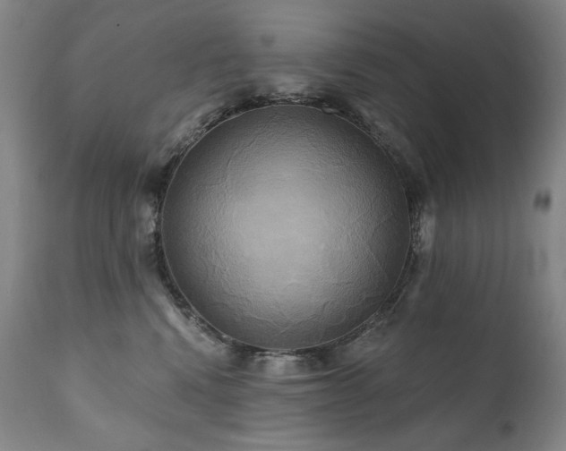 X0000111820472200907231322