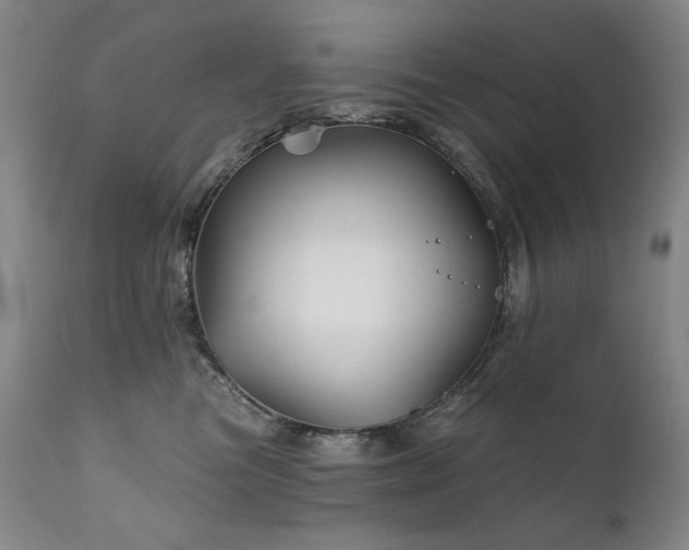 X0000111820473200907231322