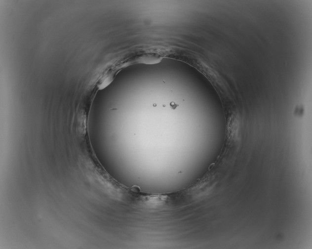 X0000111820474200907231322
