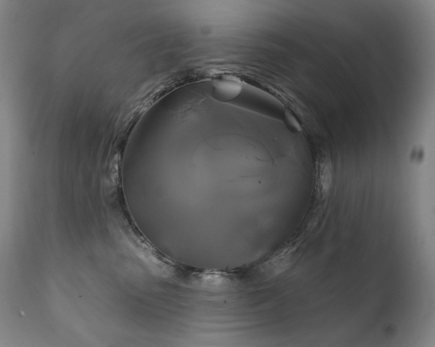 X0000111820475200907231322