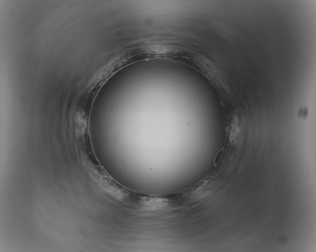 X0000111820476200907231322
