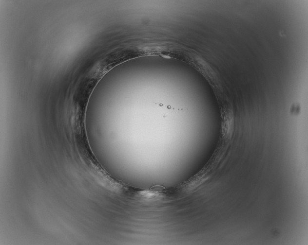 X0000111820477200907231322