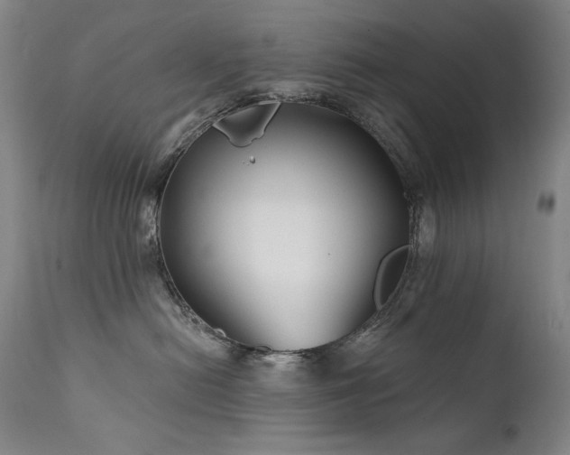 X0000111820478200907231322